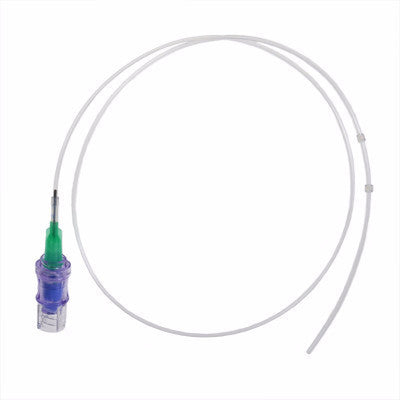 Dog Femoral Vein Catheters