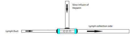 Large Animal Lymph Collection Catheters